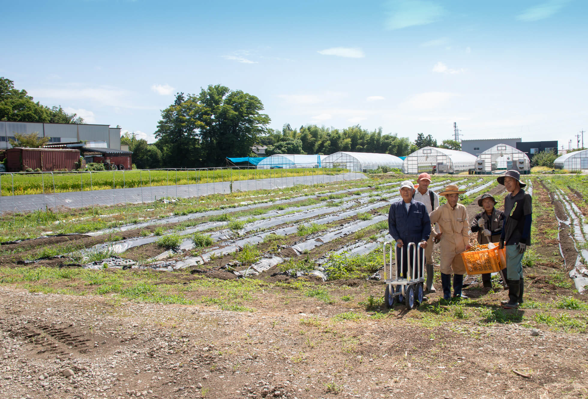 前山の畑の前で 農作業