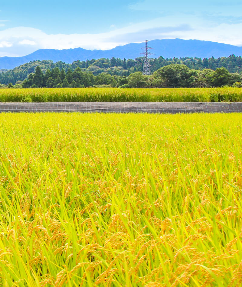富山県黒部市前沢の風景