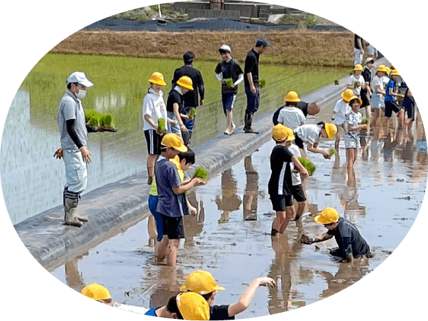 子どもたちの農業体験