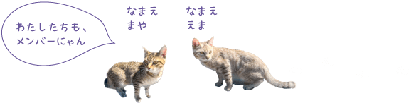 わたしたちも、メンバーにゃん／まや・えま