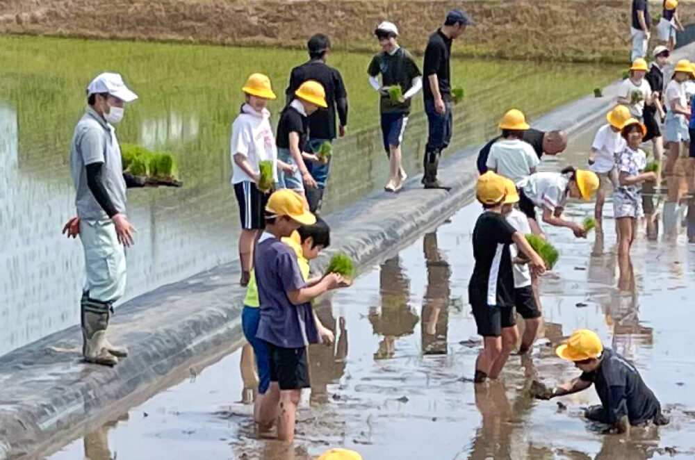 地域の子どもたちと農業体験
